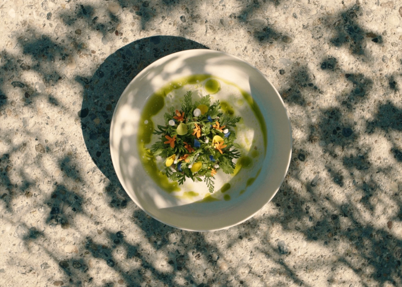 Overhead view of a wellness-focused plated dish with herbs and green oil